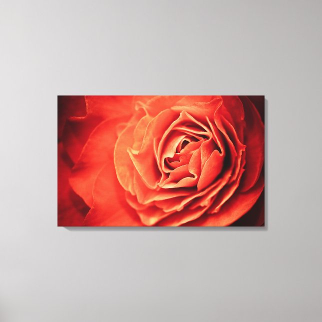 Toile vivant rose (Recto)