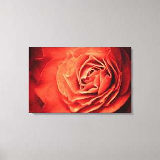Toile vivant rose