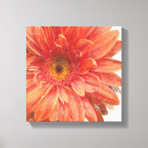 Toile Vivid Daisy 3