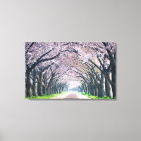 Voie Cherry Blossom