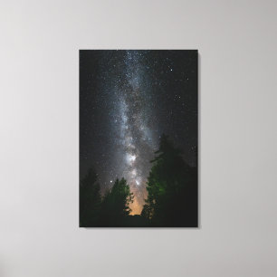Toile Voie lactée au-dessus de la forêt d'épinette