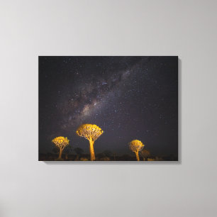 Toile Voie lactée Quiver Tree Keetmanshoop Namibie