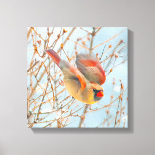 Toile Vol Cardinal Nord - Photo originale