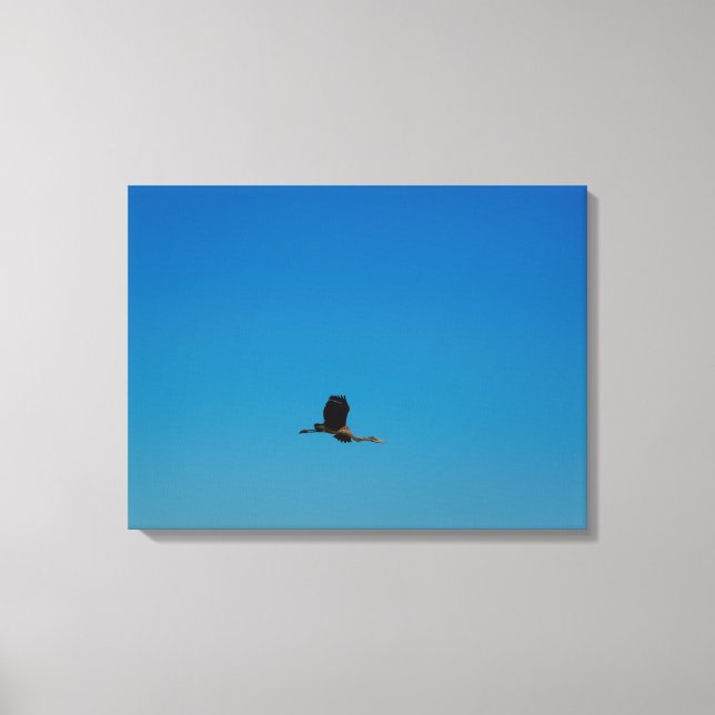 Toile Volant (Recto)