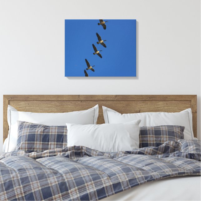 Toile Voler (Insitu(Chambre))