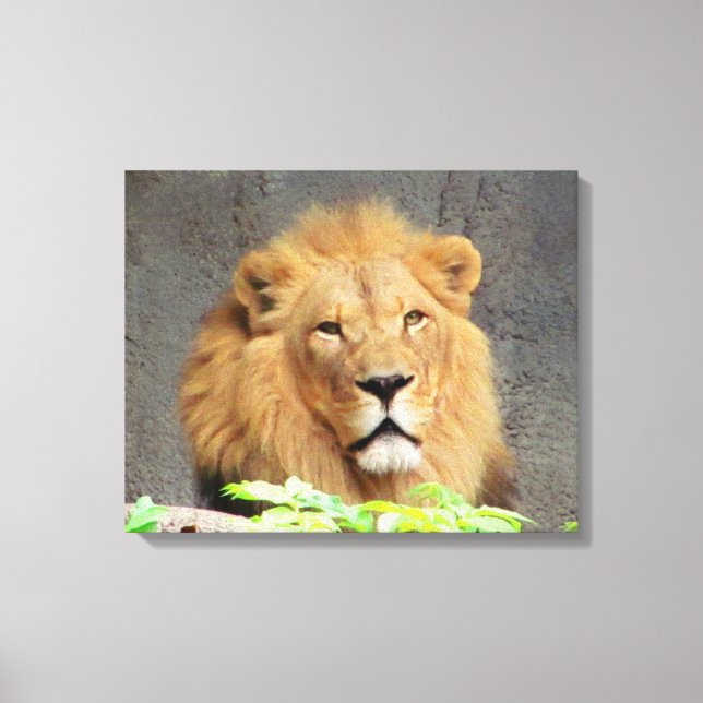 Toile Vous devez être lion par DJONeill (Recto)