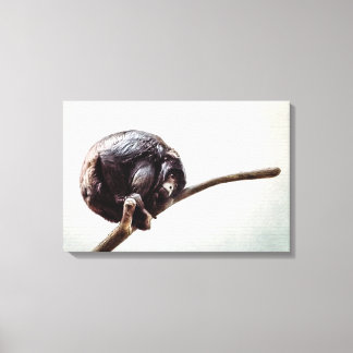 Toile Vous Manquez Seul Singe De Chimpanzé Urbain