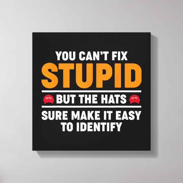 Toile Vous ne pouvez pas réparer stupide mais les chapea (Recto)