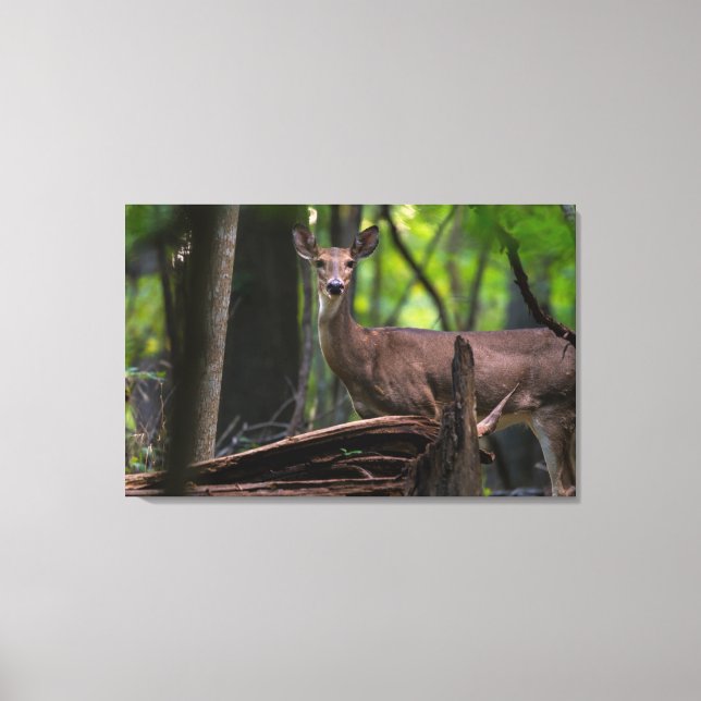 Toile Vous Récupérer (Recto)