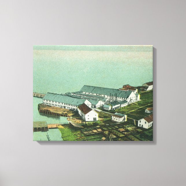 Toile Vue aérienne de A. P. A. Cannery (Recto)