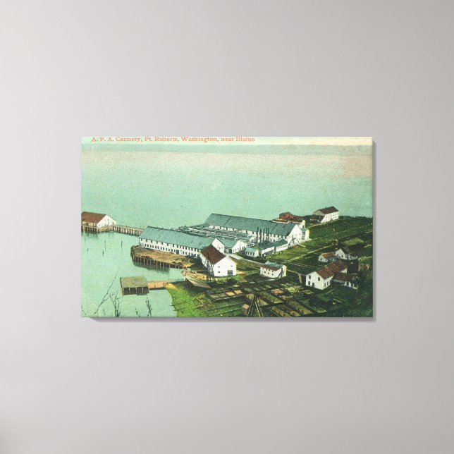 Toile Vue aérienne de A. P. A. Cannery (Recto)