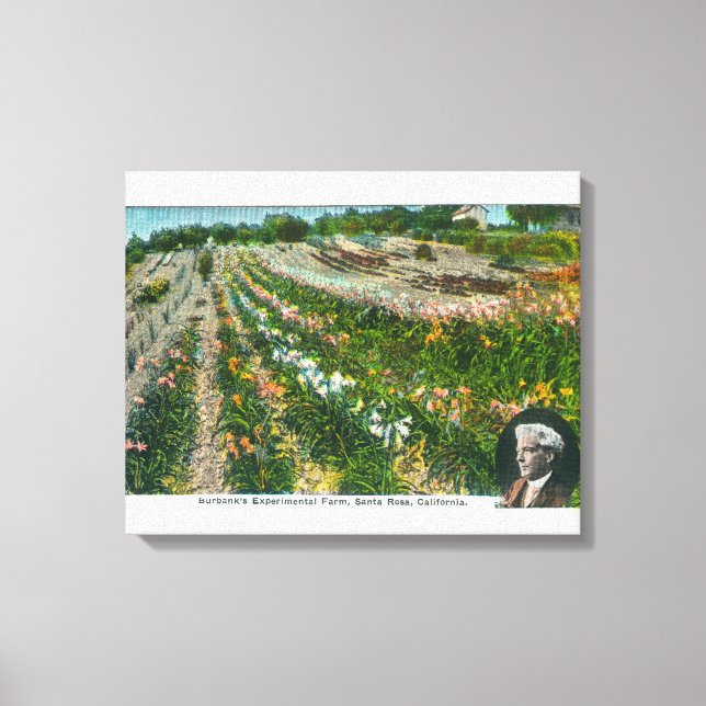 Toile Vue aérienne de Burbanks Ferme expérimentale (Recto)