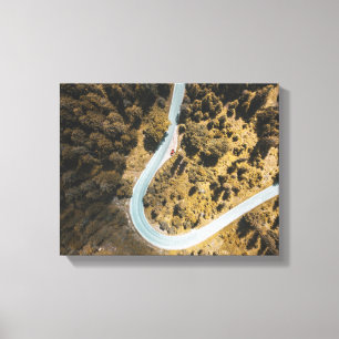 Toile vue aérienne de la route entre la forêt