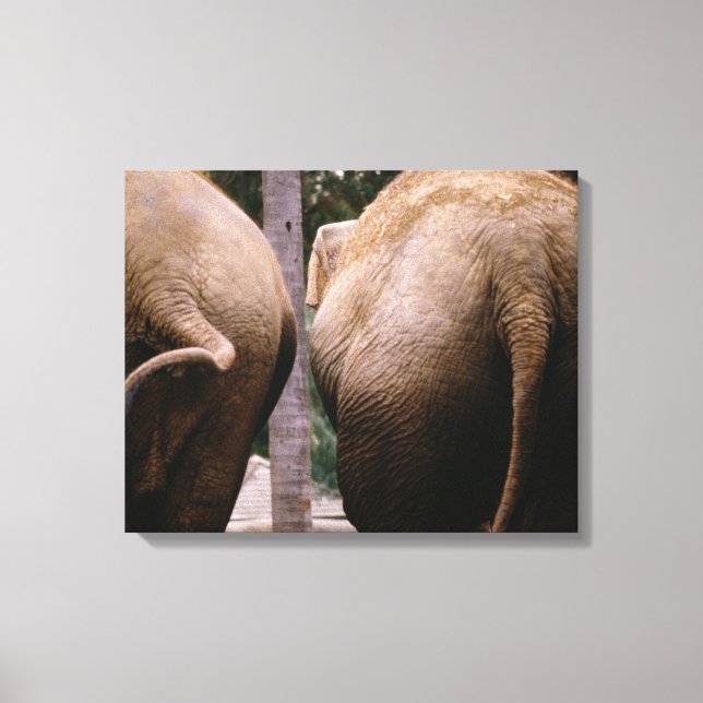 Toile Vue arrière des éléphants asiatiques (Recto)