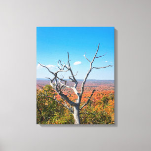 Toile Vue automnale sur le mont Bohemia
