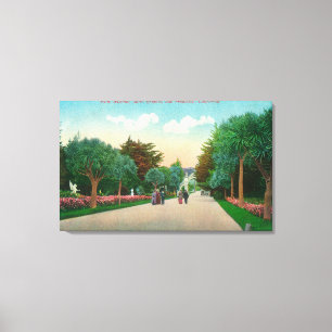 Toile Vue d'avenue de paume aux tailles de Sutro