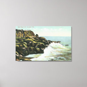 Toile Vue de falaise de tête chauve