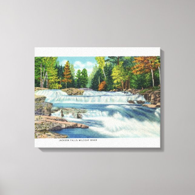 Toile Vue de la rivière Wild Cat et des chutes Jackson (Recto)
