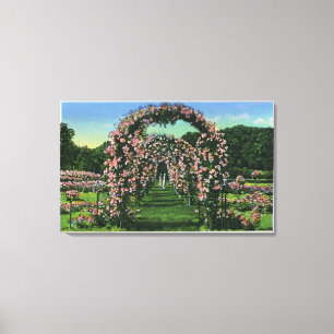 Toile Vue de parc d'Elizabeth des voûtes de rose