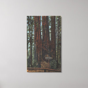 Toile Vue de "trois grâces" au grand parc d'arbres