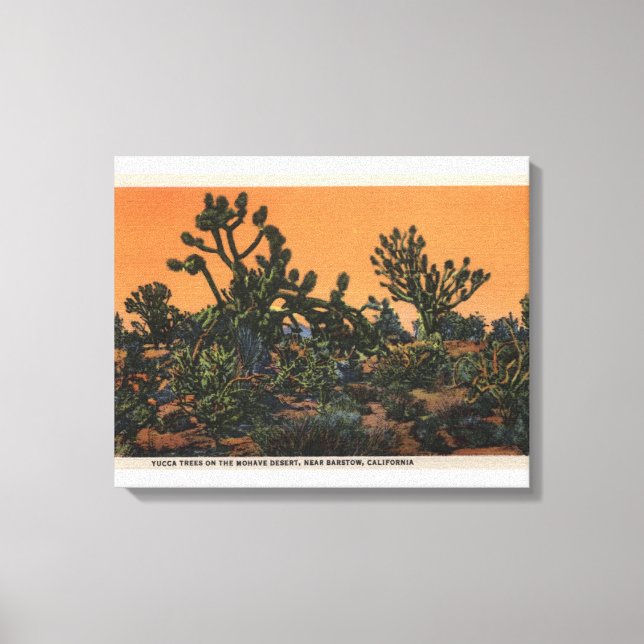 Toile Vue des arbres du Yucca dans le désert de Mohave (Recto)