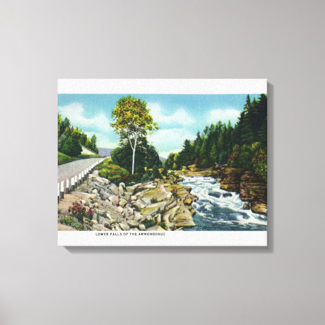 Toile Vue des chutes inférieures de la rivière Ammonoosu (Recto)