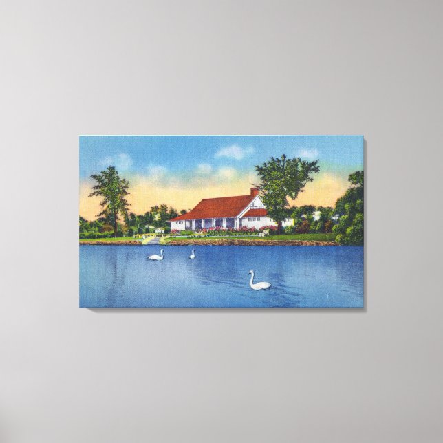 Toile Vue des cygnes du parc Hoopes sur le lac (Recto)