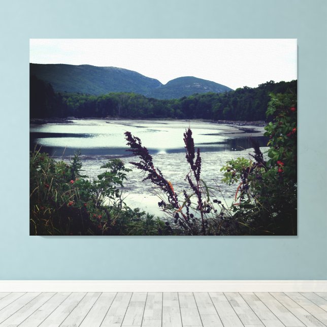 Toile Vue du Maine Mountain (Insitu (Plancher de Bois))