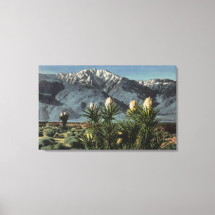 Toile Vue du mont San Jacinto, Yucca Mohavensis