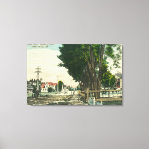 Toile Vue du sud de rue auburn