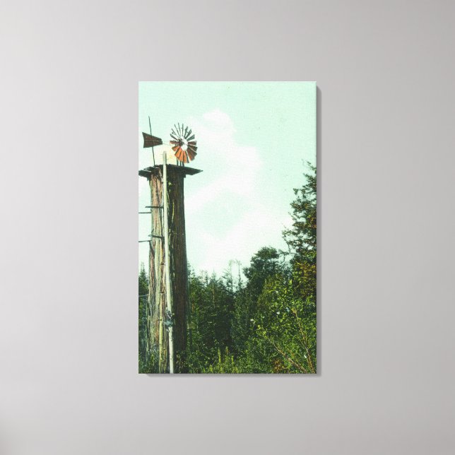 Toile Vue d'un moulin à vent Sequoia Eureka, CA (Recto)