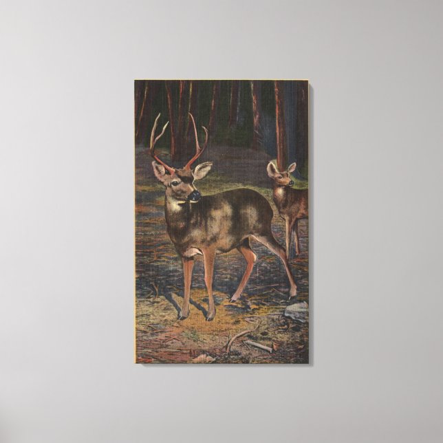 Toile Vue d'un oiseau sauvage (Recto)