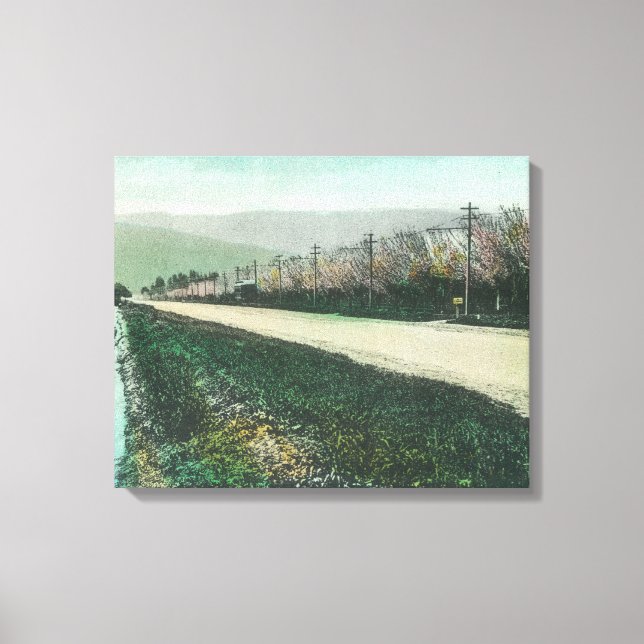 Toile Vue d'une route de campagne au printemps (Recto)