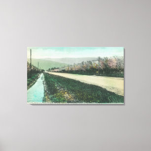 Toile Vue d'une route de campagne pendant le printemps