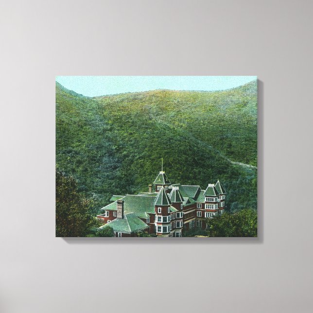 Toile Vue extérieure de Witter Springs Hotel (Recto)
