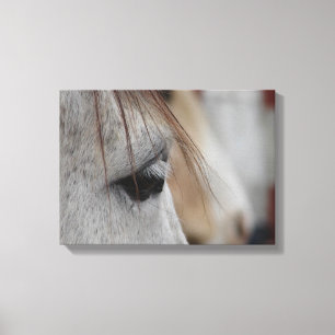 Toile Vue latérale de la tête du cheval gris