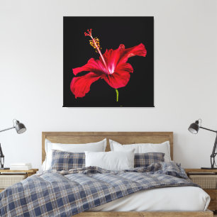 Toile Vue latérale de l'Hibiscus rouge