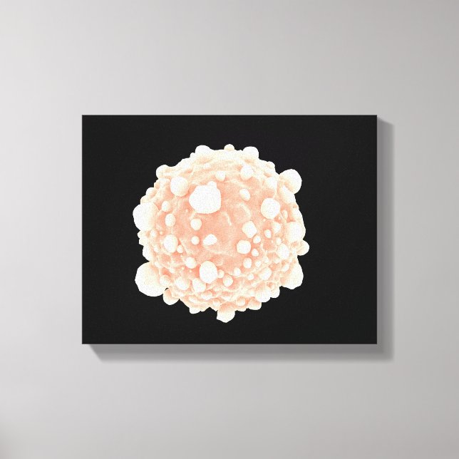 Toile Vue Microscopique De La Cellule Cancer Pancréatiqu (Recto)