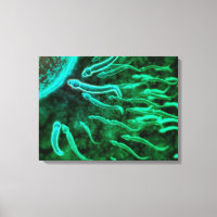 Vue Microscopique De La Nage De Sperme Vers L'Oeuf