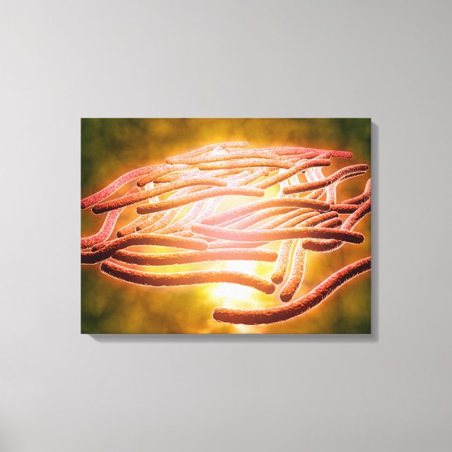 Toile Vue Microscopique De Legionella Pneumophila 2 (Recto)