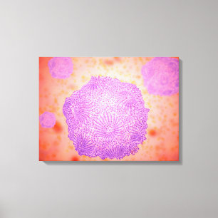 Toile Vue microscopique de Parvovirus canin 2
