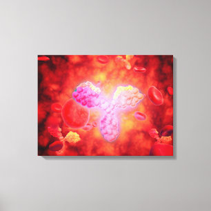 Toile Vue Microscopique Des Anitcorps Humains