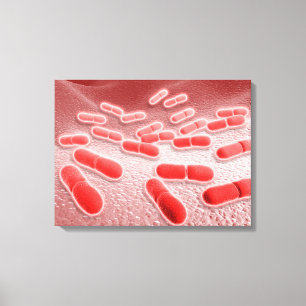 Toile Vue microscopique des monocytogènes 4 de Listeria
