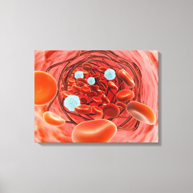 Toile Vue Microscopique Du Flux De Sang À L'Intérieur D' (Recto)