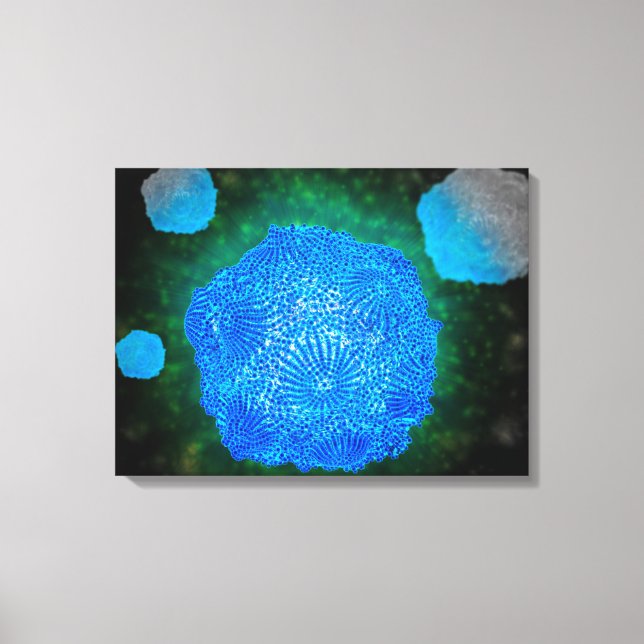 Toile Vue Microscopique Du Parvovirus Canin 3 (Recto)