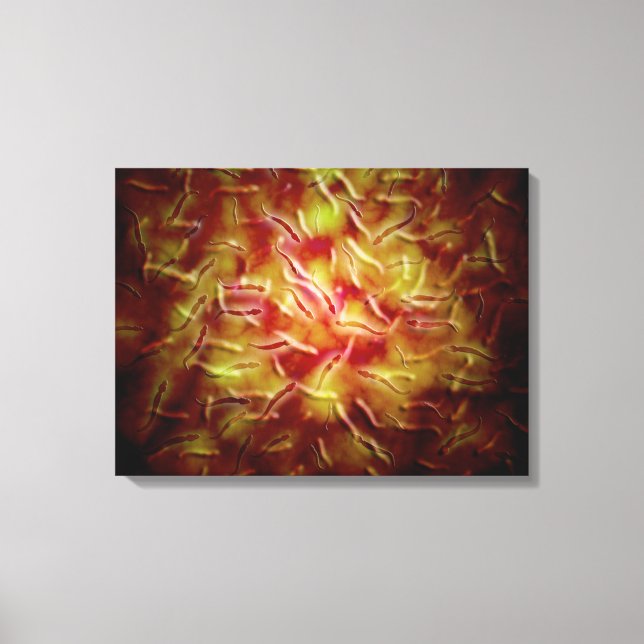 Toile Vue Microscopique Du Sperme (Recto)