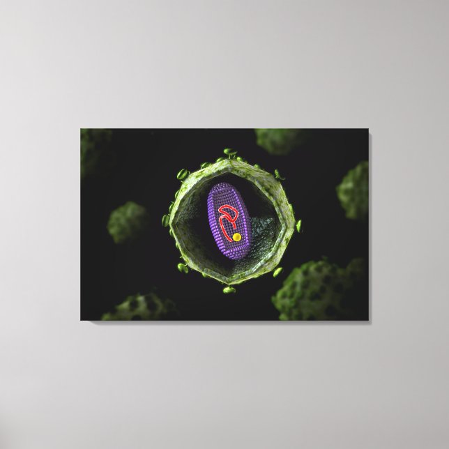 Toile Vue Microscopique Du Virus Du VIH, Section Transve (Recto)