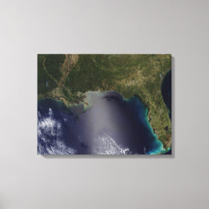 Toile Vue satellite de l'état uni du sud-est 2