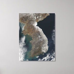 Toile Vue satellite des chutes de neige