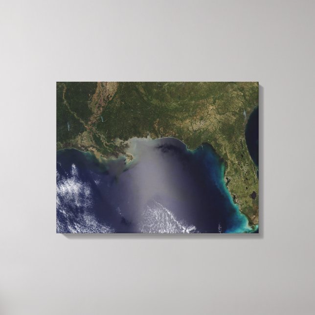 Toile Vue satellite du sud-est des États-Unis (Recto)